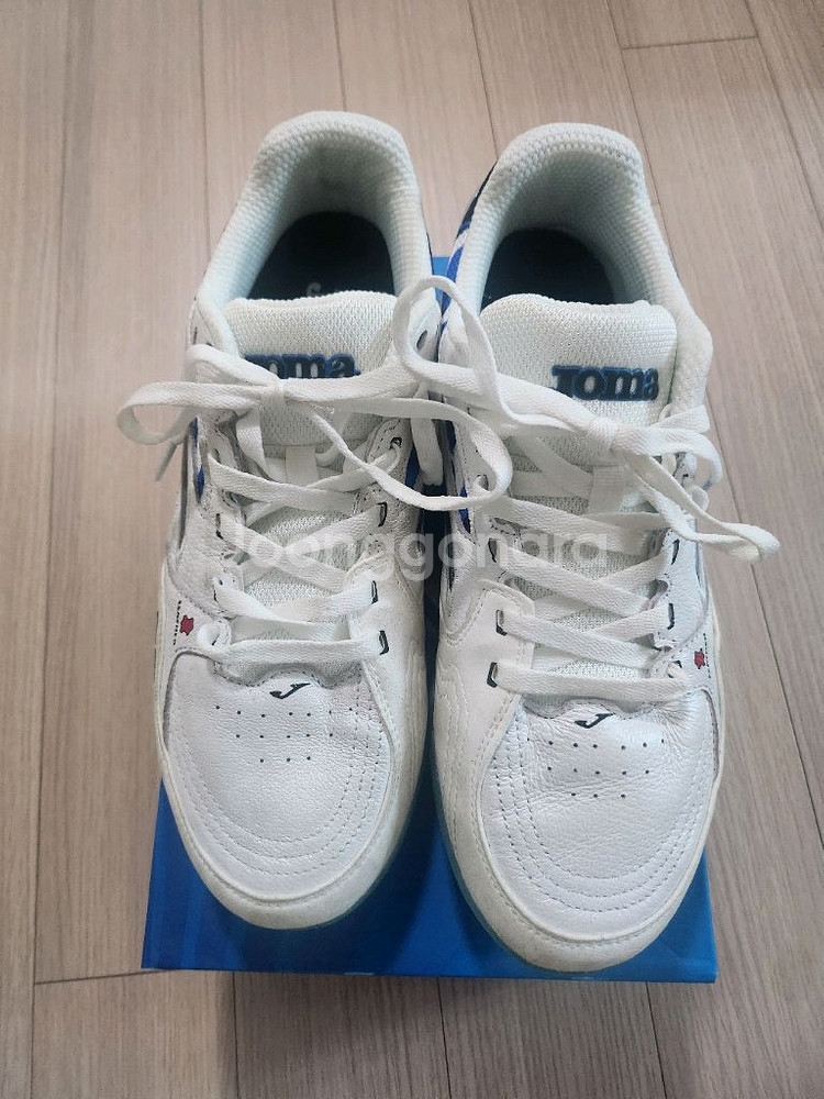 조마 리액티브 TF 260--0