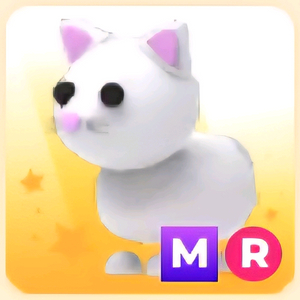입양하세요 MR 스노우 캣 (눈 고양이)
