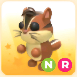 입양하세요 NR 다람쥐