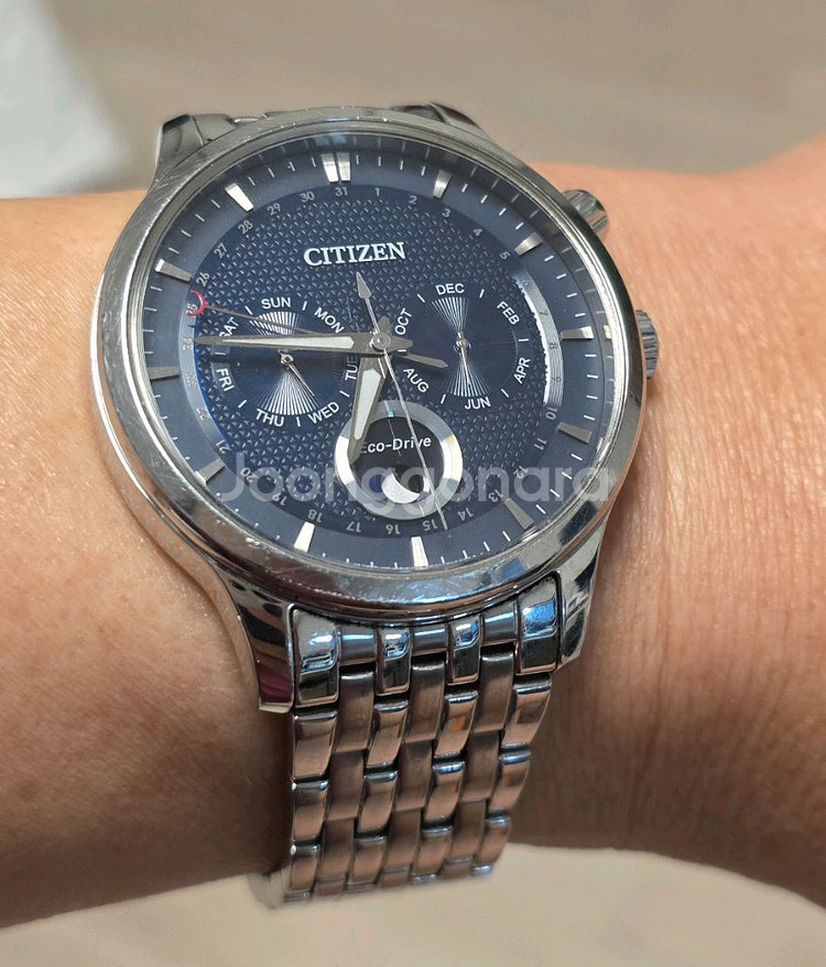 시티즌(CITIZEN) 솔라 태양광 AP1050-56L--2