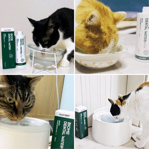 (새상품)고양이 덴탈워터 250ml