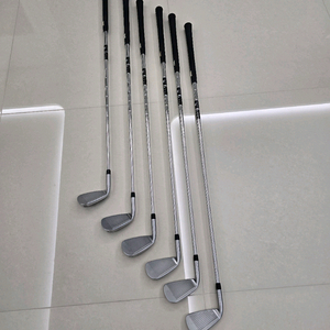 PXG Gen6 0311P 6아이언 [카네 정품]