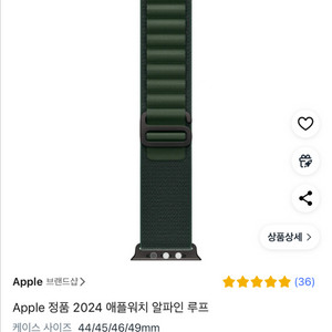 애플워치 스크랩 알파인루프 미개봉