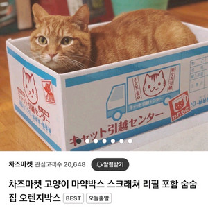 고양이 마약박스 스크래쳐 숨숨집 새상품