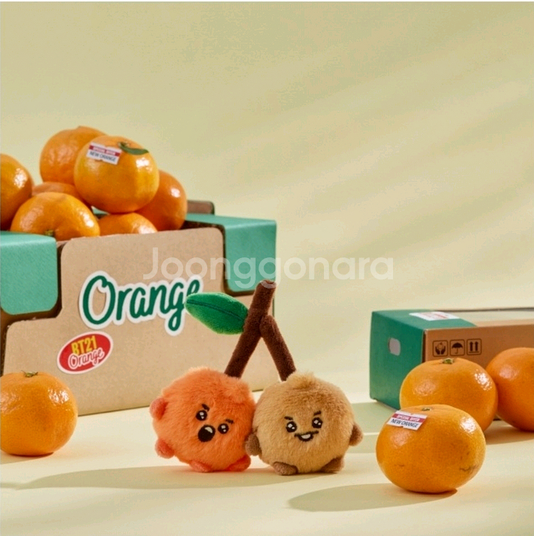 미개봉) 방탄소년단 BT21 슈키 오렌지파티--0