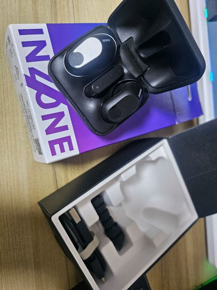 소니 인존버즈--2