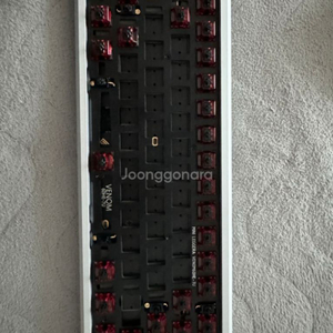 frog mini 레제라 베놈 베놈60he