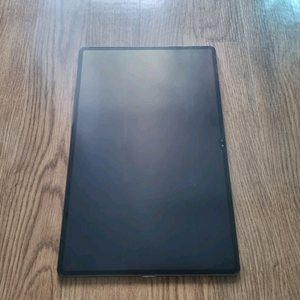 갤럭시탭 S8 울트라 256G wifi