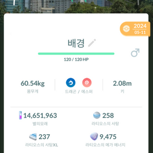 포켓몬고 로케 배경 이로치 라티오스 판매