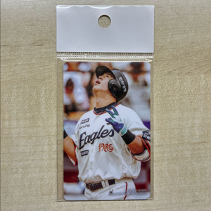 한화이글스 노시환 100홈런 기념 포토카드