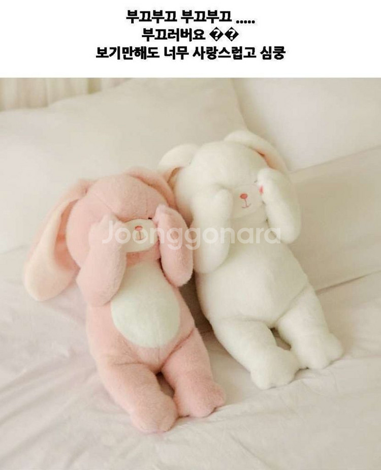 봉제정품)예쁜 부끄러버레빗토끼13cm키링 미개봉보들보들--1
