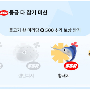 틱톡 라이트 낚시원정대 피라루쿠 판매합니다