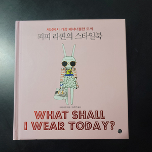 피피 라핀의 스타일북(미사용)