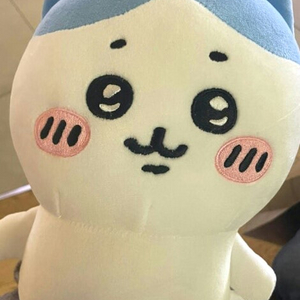 하치와레 인형 2500원