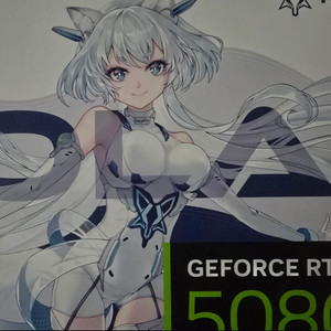 만리 Rtx 5080 polar fox