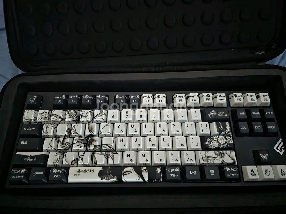 venom 베놈87he frog tkl 상구리 블랙--0