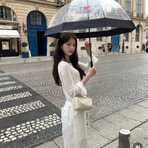 르플레인 로아니트