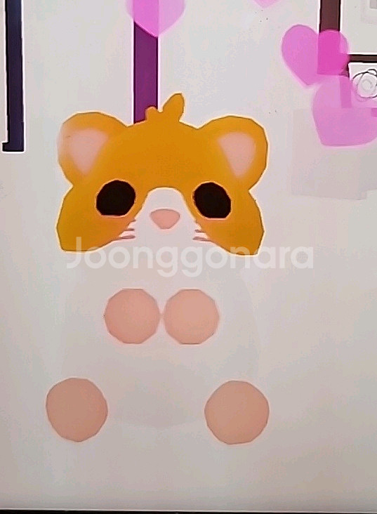 입양하세요 펫 햄스터--1