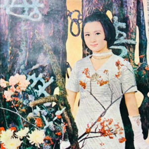 여원 여성 잡지 1967년 1.2.3월호(3권) 일괄