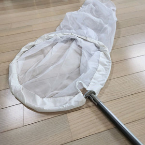 곤충채집망