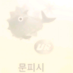 틱톡 낚시물고기