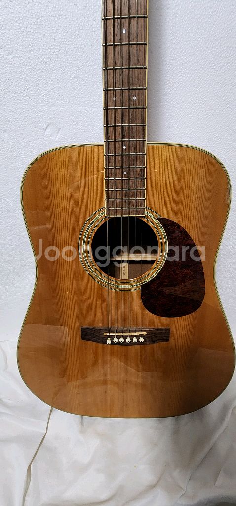 cort 콜트 earth 200--1