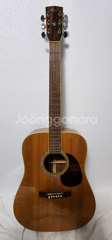 cort 콜트 earth 200--0