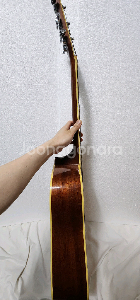 cort 콜트 earth 200--8