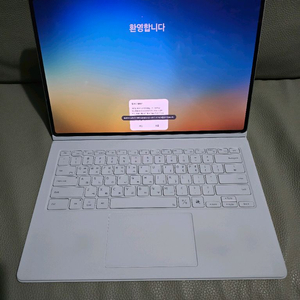 갤럭시탭 s10 울트라 5g 512gb 실버