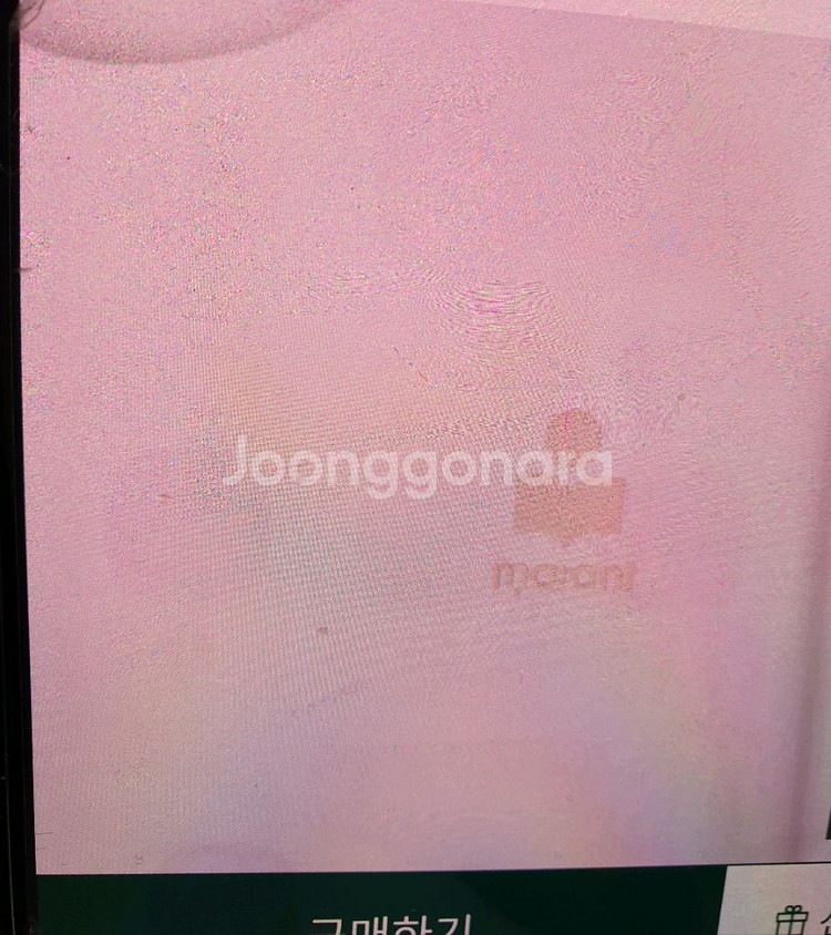 이자벨마랑--3