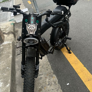 엑스라이더x100max 거의새것 판매&로드대차 합니다