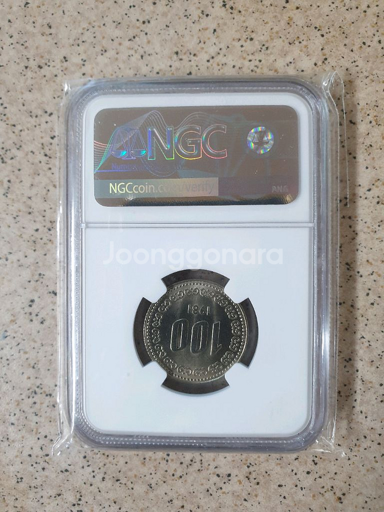 1981년 100원 ms65등급--1