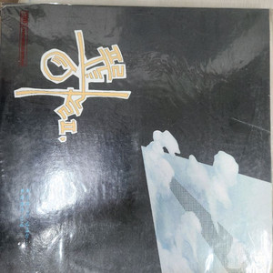 푸른하늘 2집 LP 음반