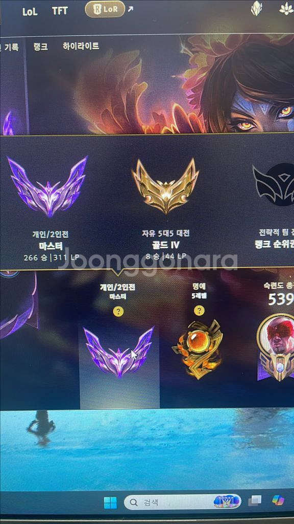 롤 최저가 개인기사 대리--0