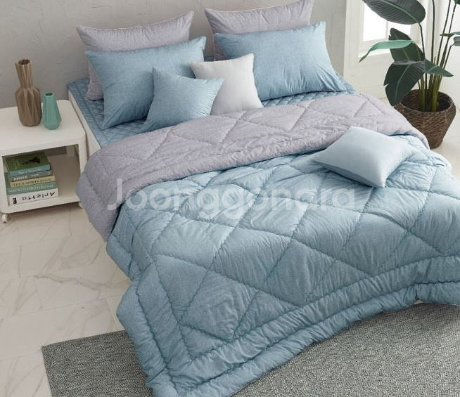 새상품 알레르망 에드윈2 차렵이불 더블사이즈 초특가--2