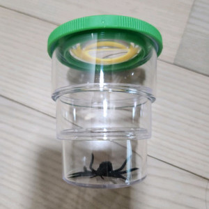 3단곤충관찰통