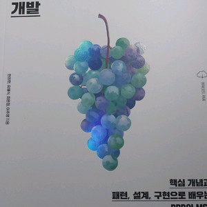 도메인주도설계로 시작하는 마이크로서비스 개발