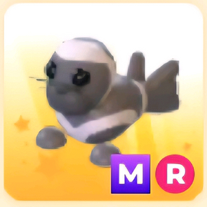 입양하세요 MR 하프 물개