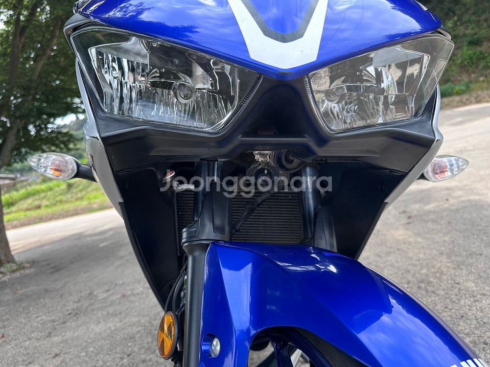 YAMAHA R3 2016--4
