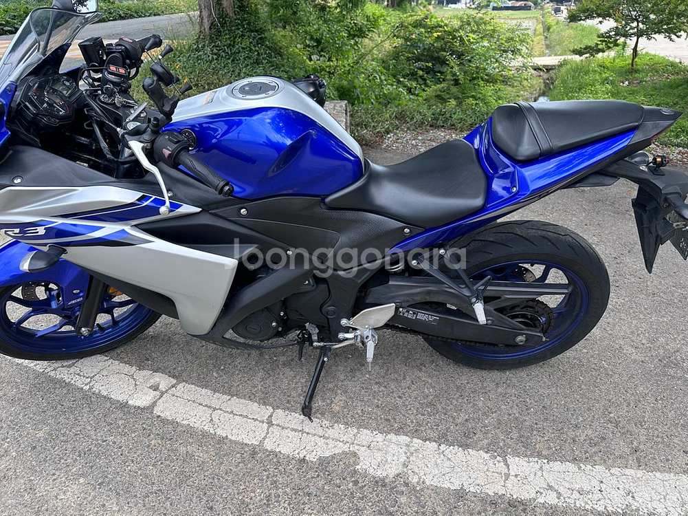 YAMAHA R3 2016--6