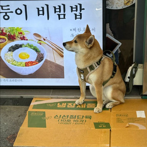 카카오 배그 클랜 삽니다