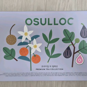 오설록 프리미엄티 컬렉션 40개입
