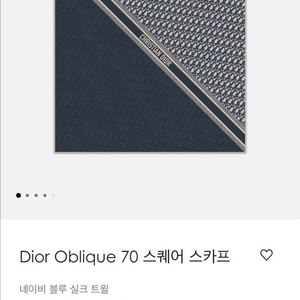 디올 오블리크 스카프