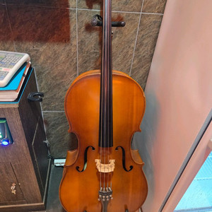 성인용 첼로 팝니다