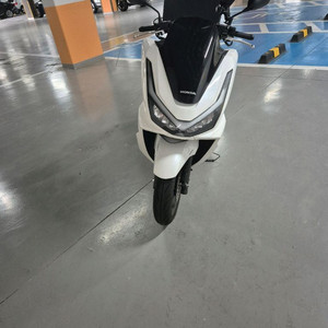 pcx125 abs 25년식 리스승계