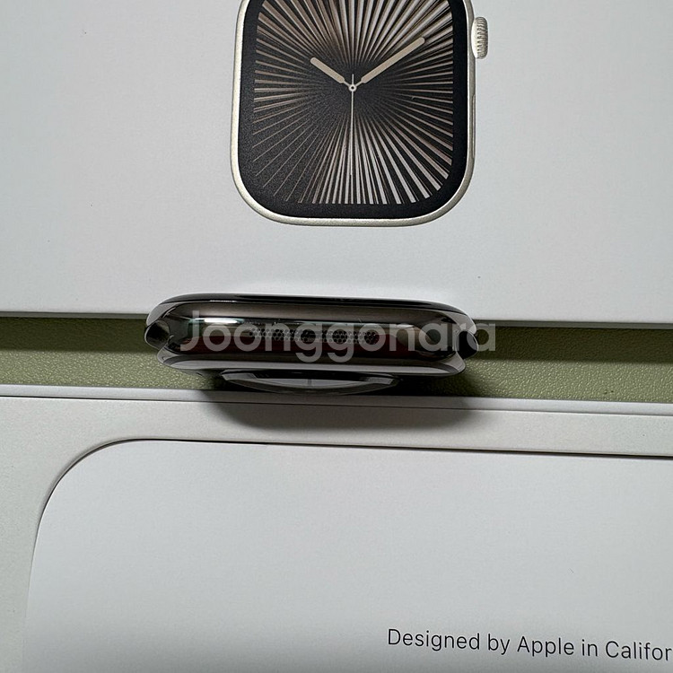애플워치10 46mm 내추럴 티타늄 밀레니즈루프--5