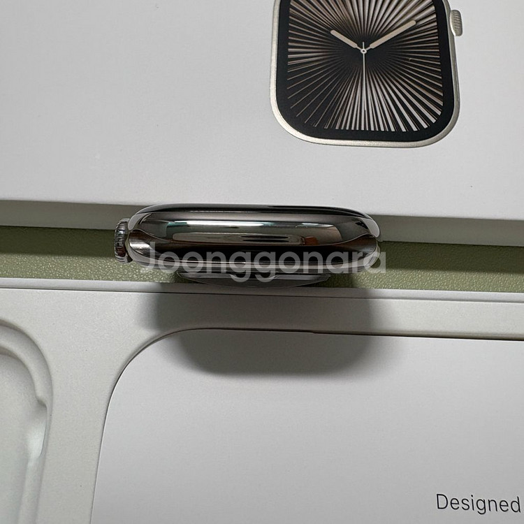 애플워치10 46mm 내추럴 티타늄 밀레니즈루프--4