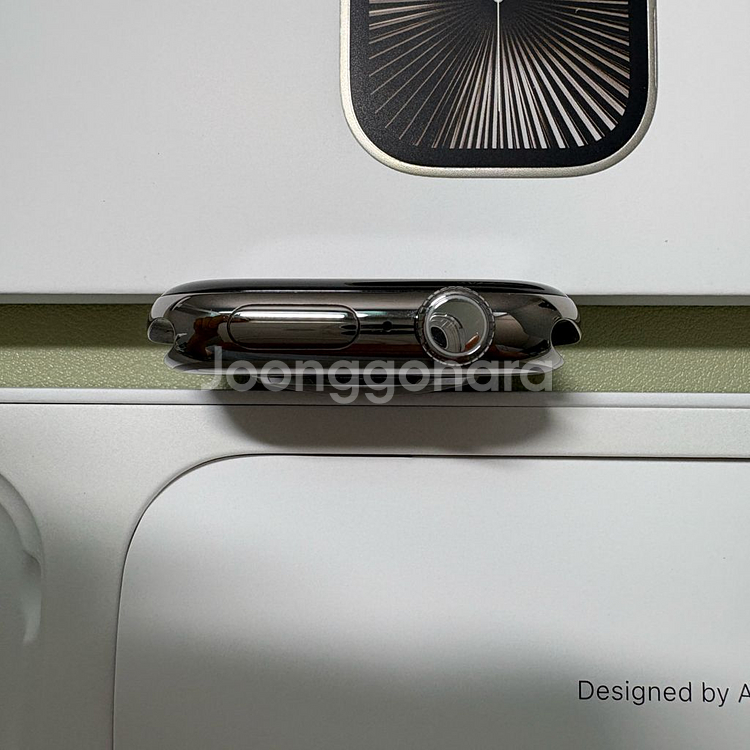 애플워치10 46mm 내추럴 티타늄 밀레니즈루프--3