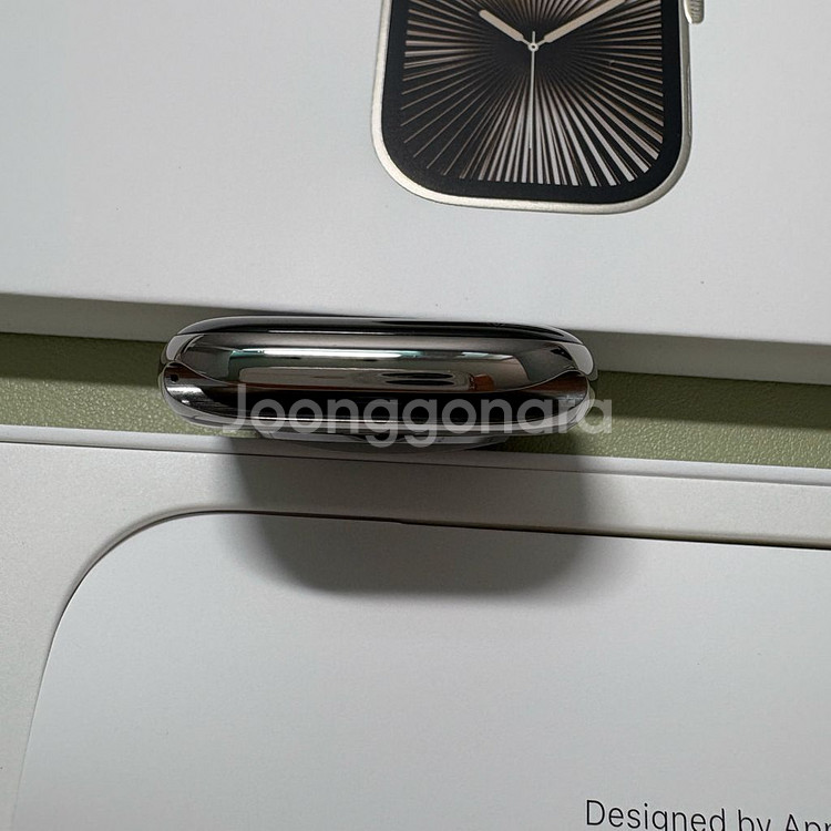 애플워치10 46mm 내추럴 티타늄 밀레니즈루프--6