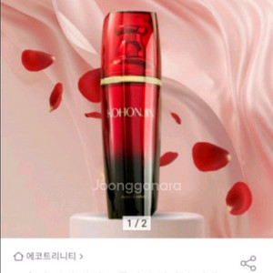 고혼진 앰플